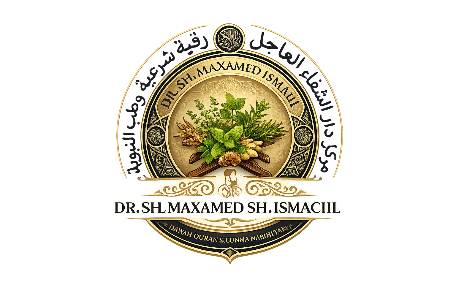 Dr. Sh mahamed ismail